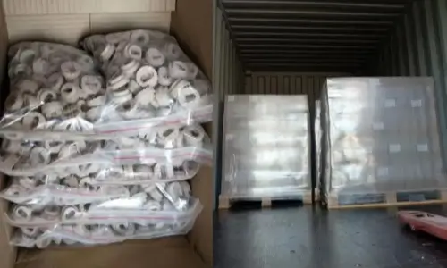 Sealed plastic bags of ceramic ferrule and container loading process